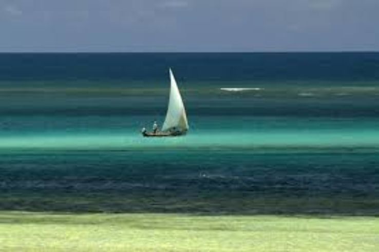 A Housefull Day at Malindi Marine National Reserve, Kenya Trip Packages