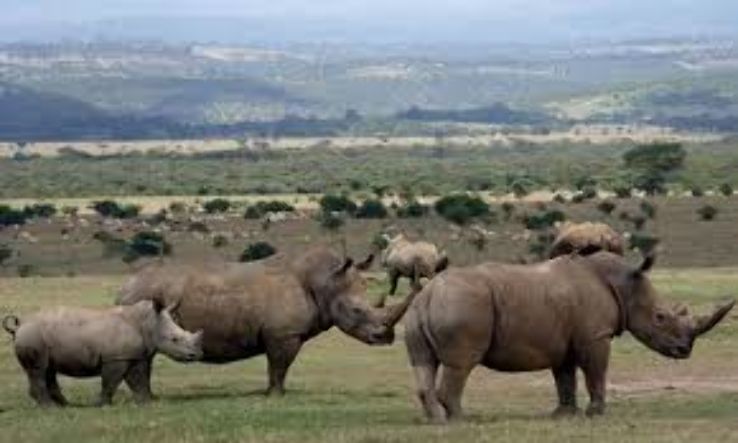 Sustainable Tourism at the Aberdare National Park, Kenya  Trip Packages