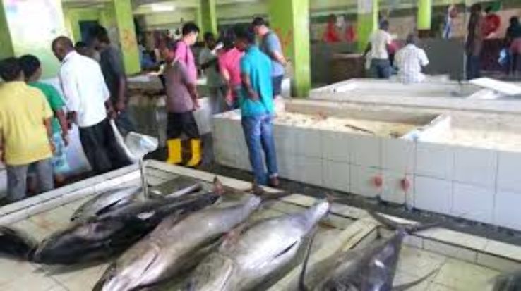 Amazing 4 Days After Breakfast, the day is at Leisure to explore the Island to after breakfast Vacation Package