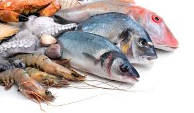 Male Fish Market Trip Packages