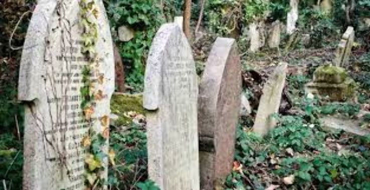 Highgate Cemetery Trip Packages