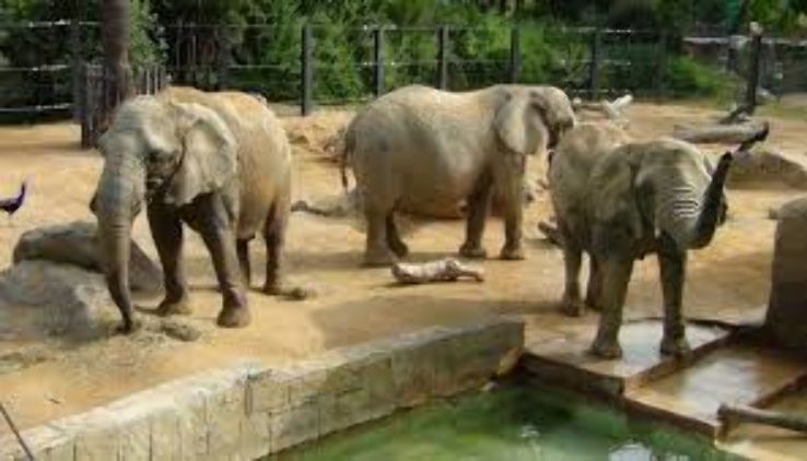 Barcelona Zoo Trip Packages