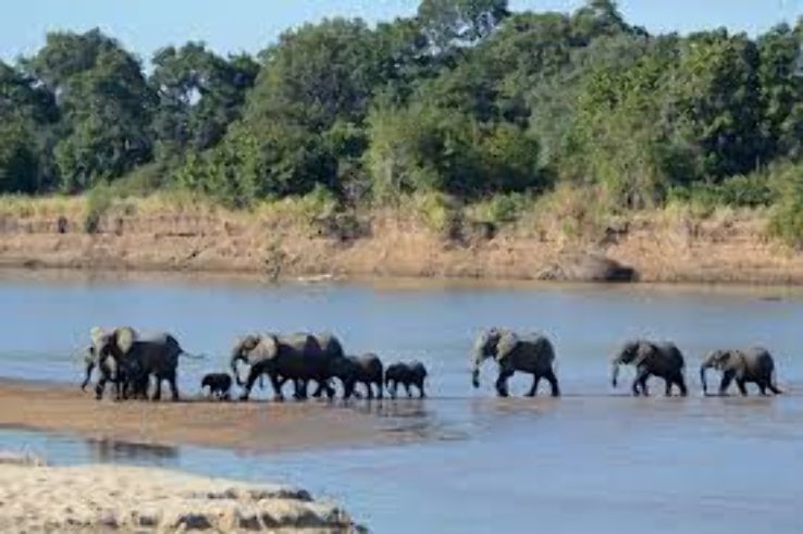 South Luangwa National Park Trip Packages