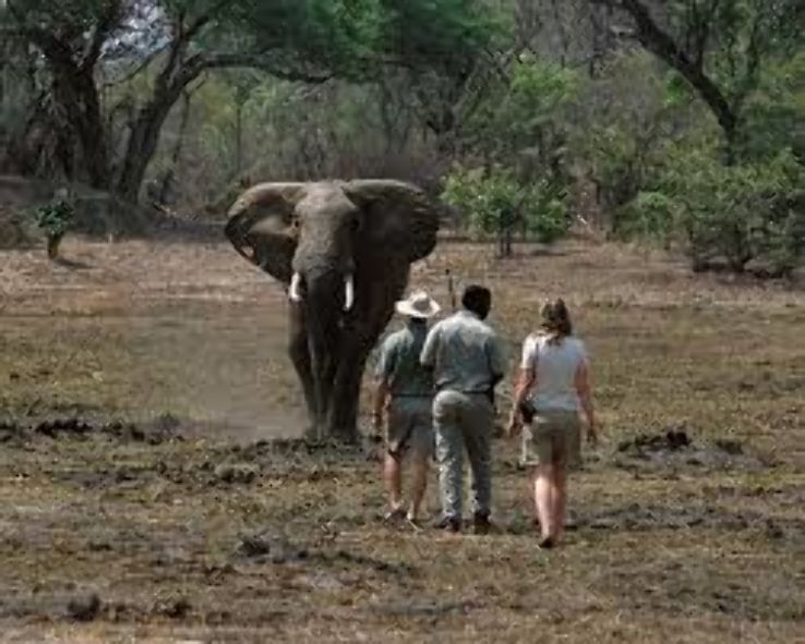 Kafue National Park Trip Packages