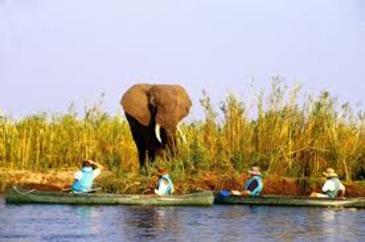 Lower Zambezi National Park Trip Packages