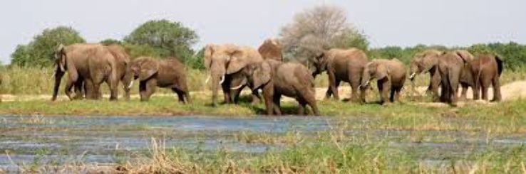 Lower Zambezi National Park Trip Packages
