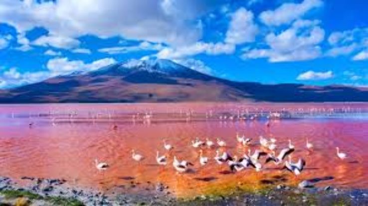 Laguna Colorada Trip Packages
