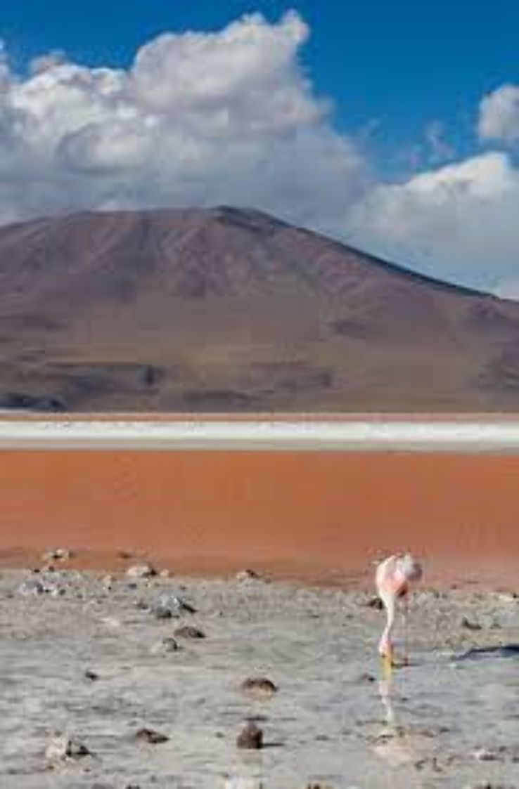 Laguna Colorada Trip Packages