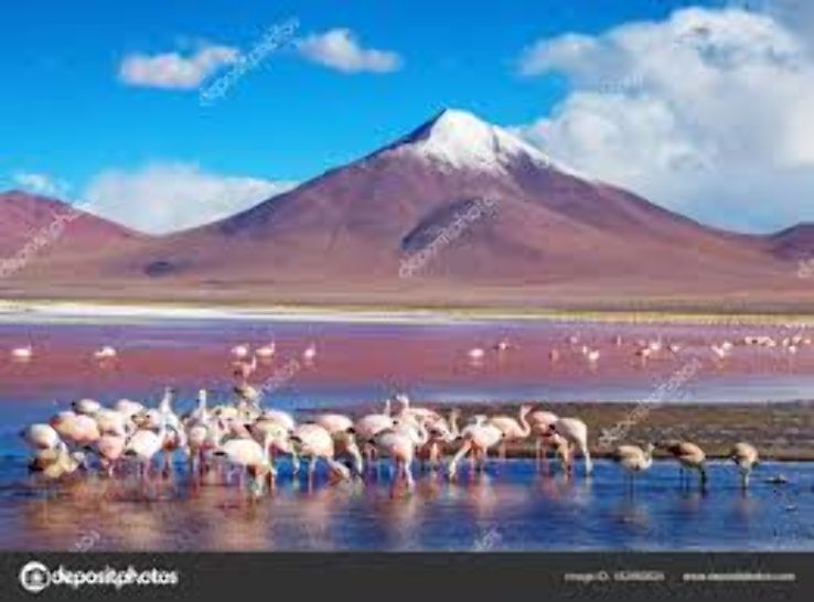 Laguna Colorada Trip Packages