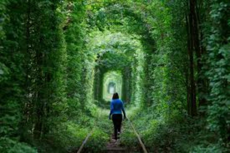 Tunnel of Love Trip Packages