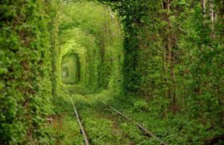 Tunnel of Love Trip Packages
