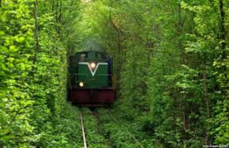 Tunnel of Love Trip Packages