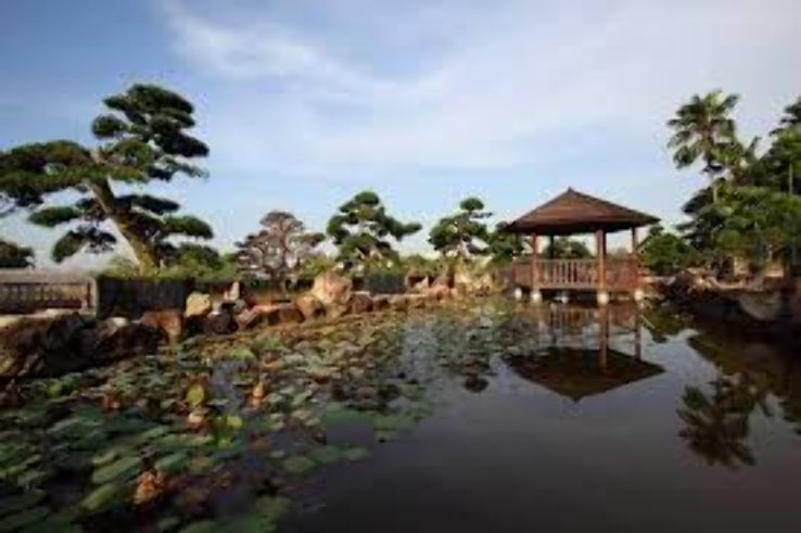 Chengtai Nursery Trip Packages