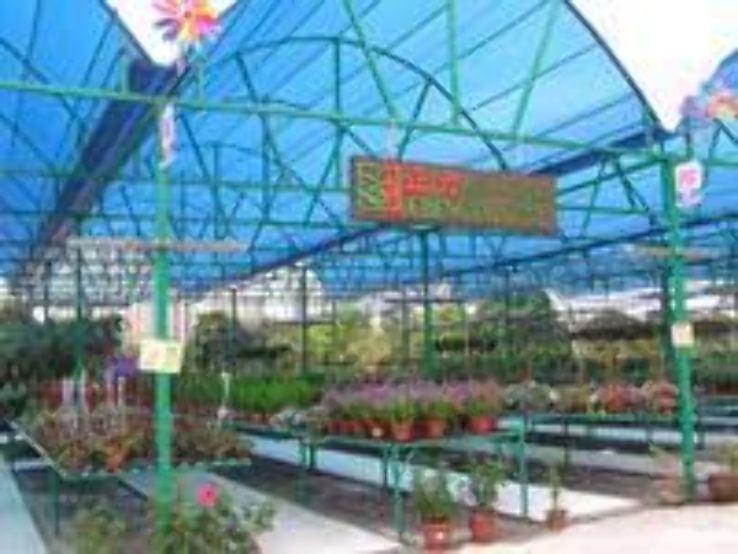 Chengtai Nursery Trip Packages