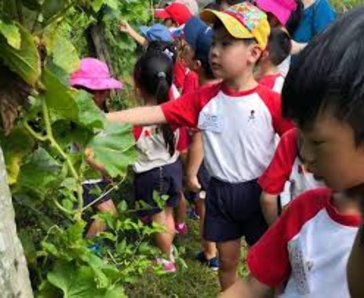 Fire Flies Health Farm Trip Packages