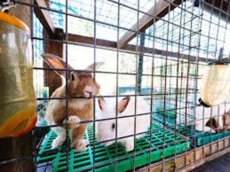 Farmart Trip Packages