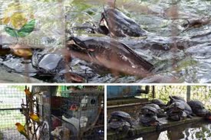 Farmart Trip Packages