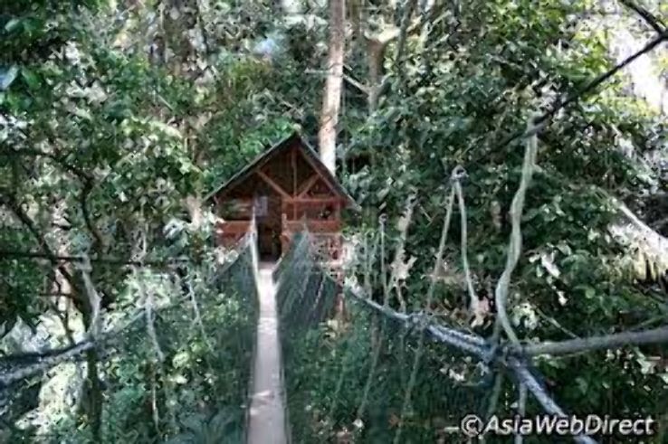 FRIM Canopy Walkway Trip Packages