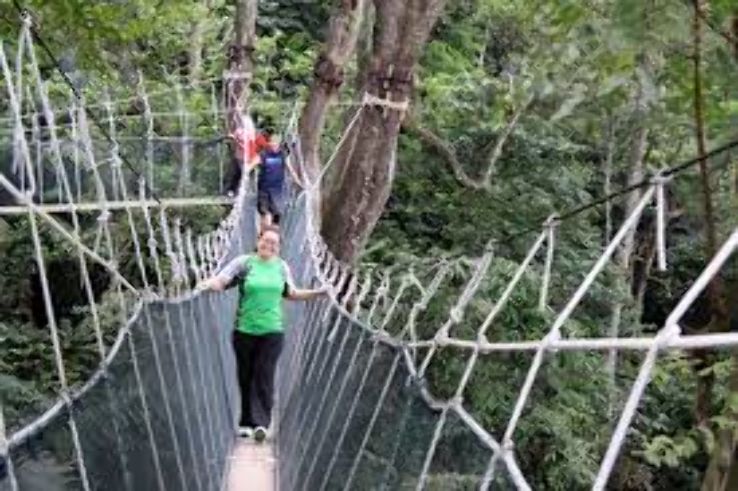 FRIM Canopy Walkway Trip Packages