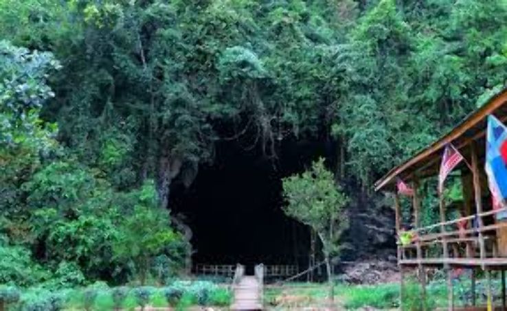 Gua Gomantong Trip Packages