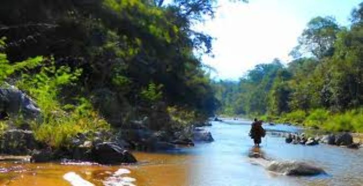 Hui Kha kaeng Forest Trip Packages