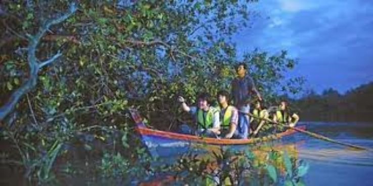 Kampung Kuantan Fireflies Trip Packages