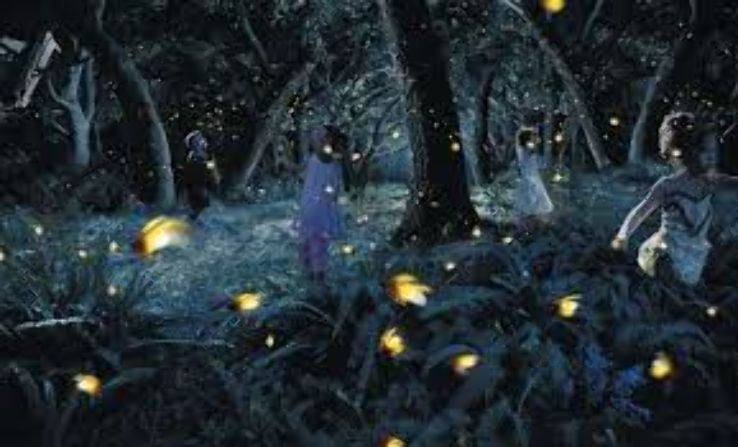 Kampung Kuantan Fireflies Trip Packages