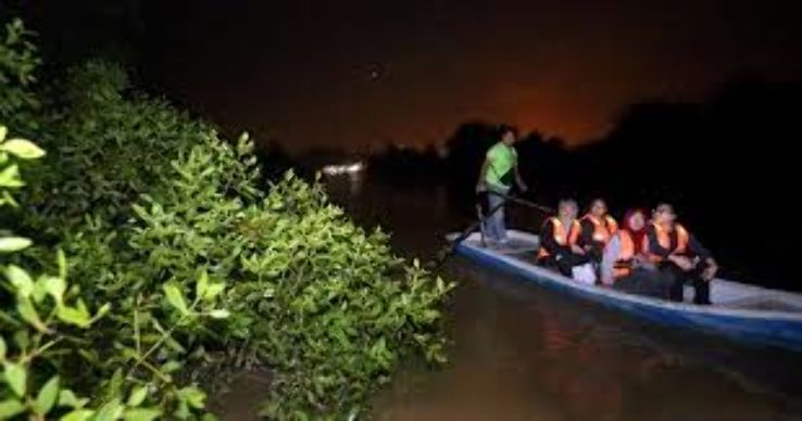 Kampung Kuantan Fireflies Trip Packages