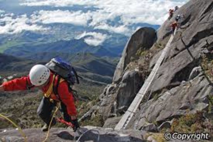 Kinabalu National Park Trip Packages