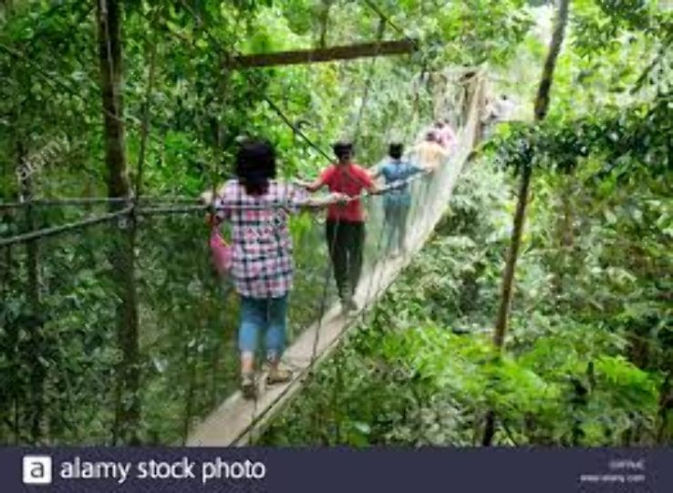 Kinabalu National Park Trip Packages