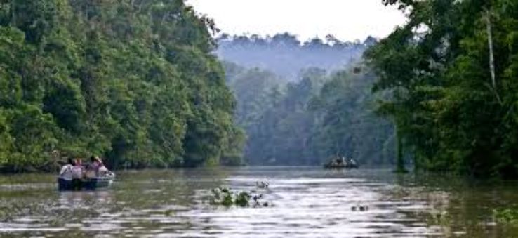 Kinnabatangan River Trip Packages