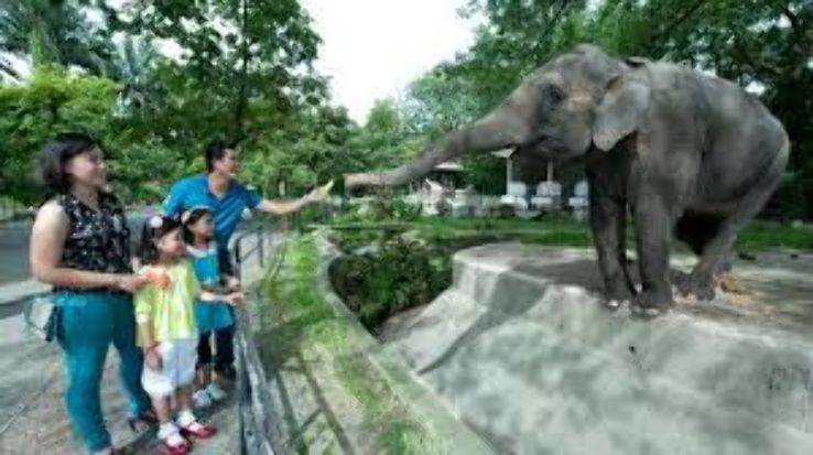 Experience Kuala-Lumpur Tour Package for 5 Days