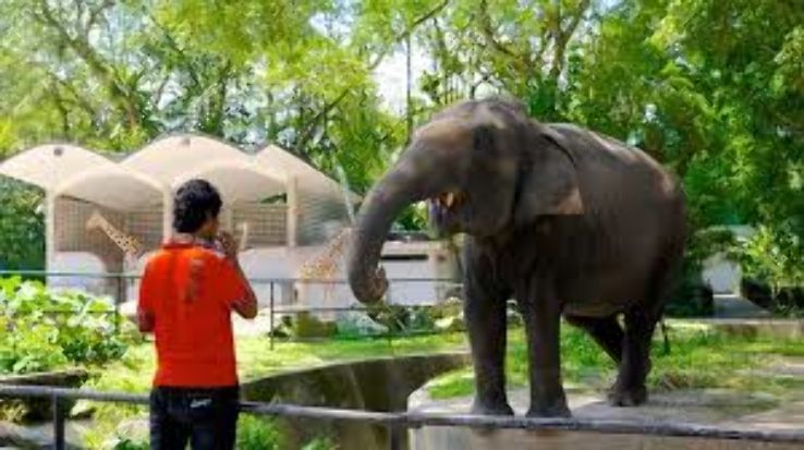 Kuala Lumpur National Zoo Trip Packages