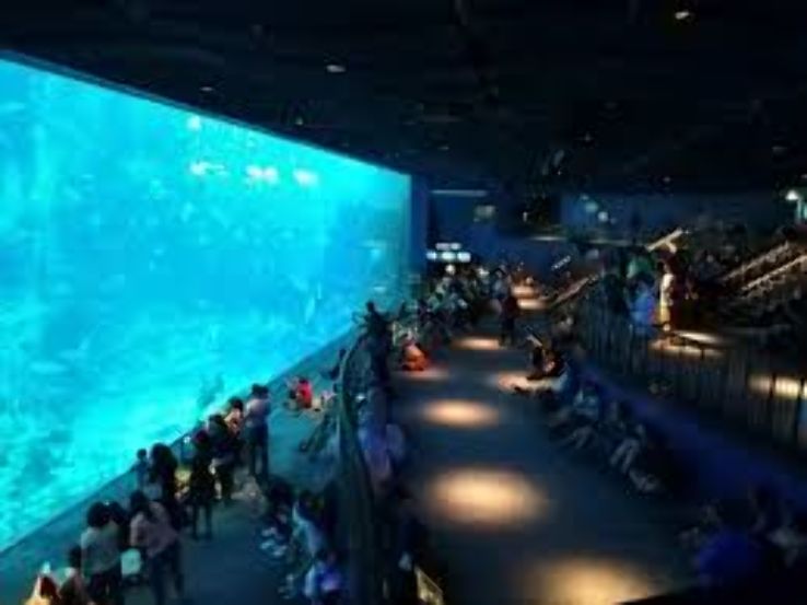 Marine Life Park Trip Packages