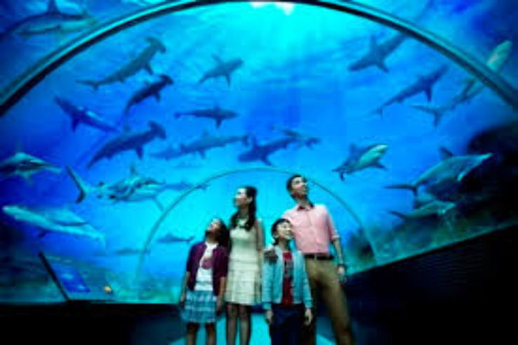 Marine Life Park Trip Packages