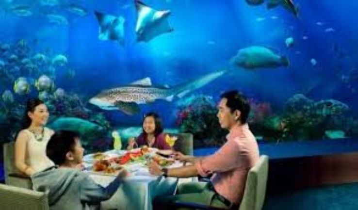 Marine Life Park Trip Packages