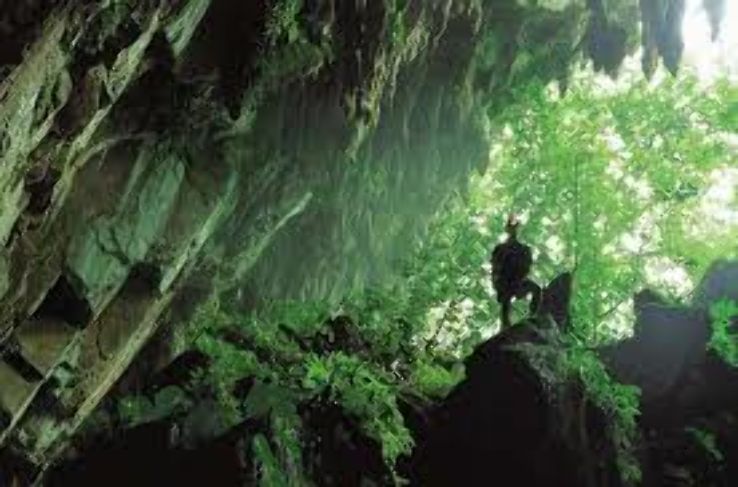 Mulu Trip Packages