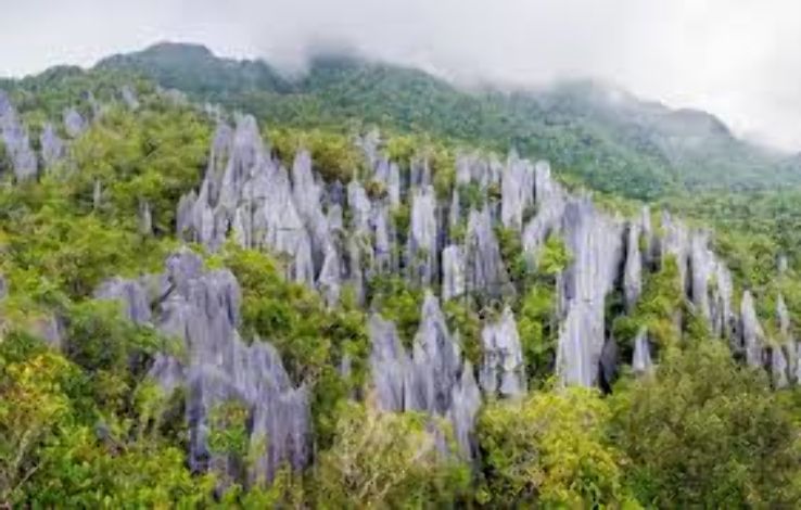 Mulu Trip Packages