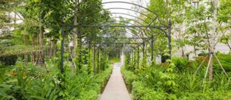 Nyee Phoe Flower Garden Trip Packages