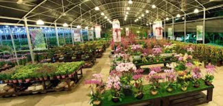 Nyee Phoe Flower Garden Trip Packages