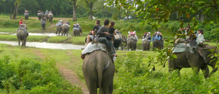 Royal Chitwan National Park Trip Packages