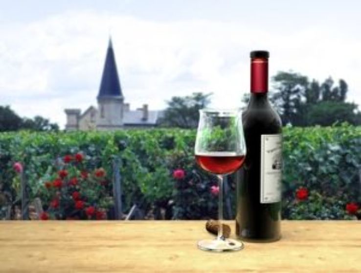 Exploring Wine Country in Bordeaux Trip Packages