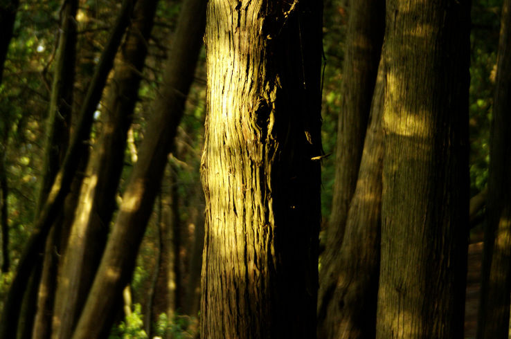 Sutton Coldfield Trip Packages