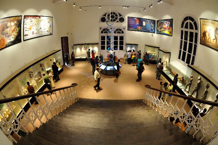 The Evolution of Education Museum Trip Packages