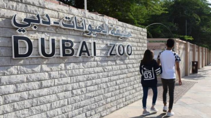 Visit The Dubai Zoo Trip Packages