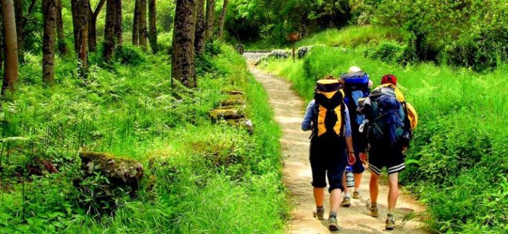 Sightseeing in El Camino de Santiago Trip Packages