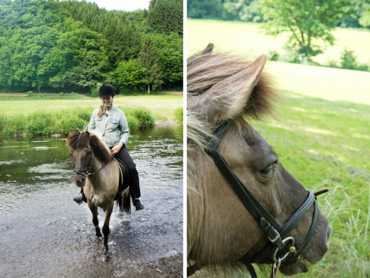 Cover Luxembourg On Horse Trip Packages