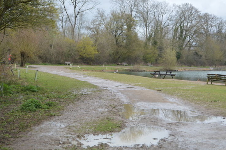 Haysden Country Park Trip Packages