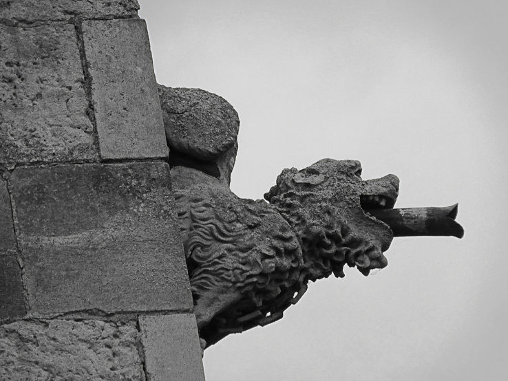 St Marys Church Trip Packages