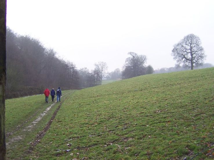 Squerryes Park Common Trip Packages